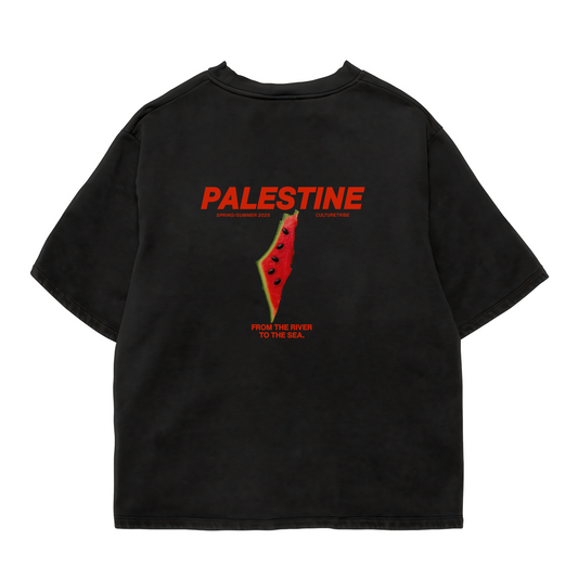 Palestine Freedom Oversize Tee