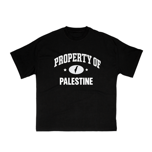 Property Of Palestine T-Shirt