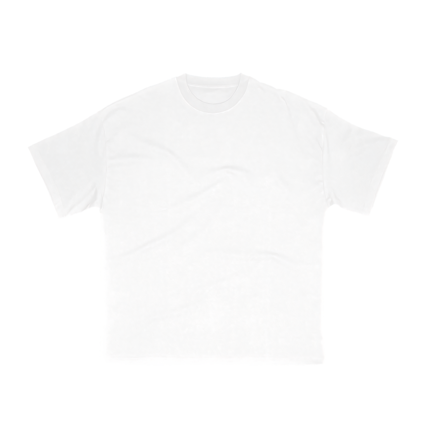 Raised By Immigrants Backprint Tee